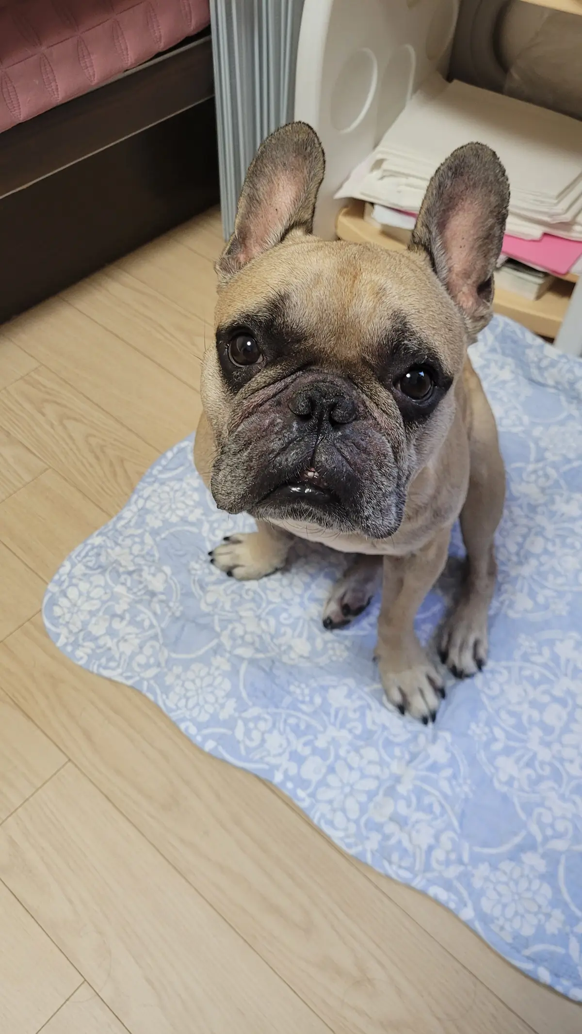 이미지 3