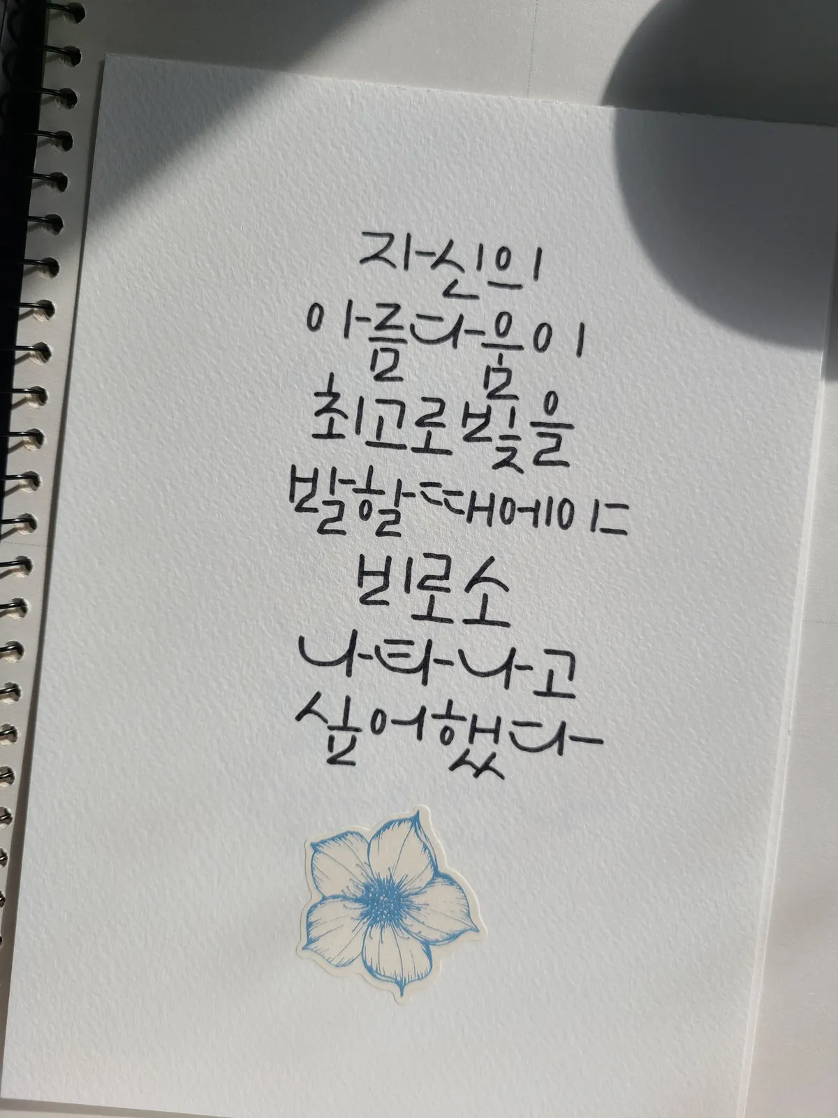 이미지 26