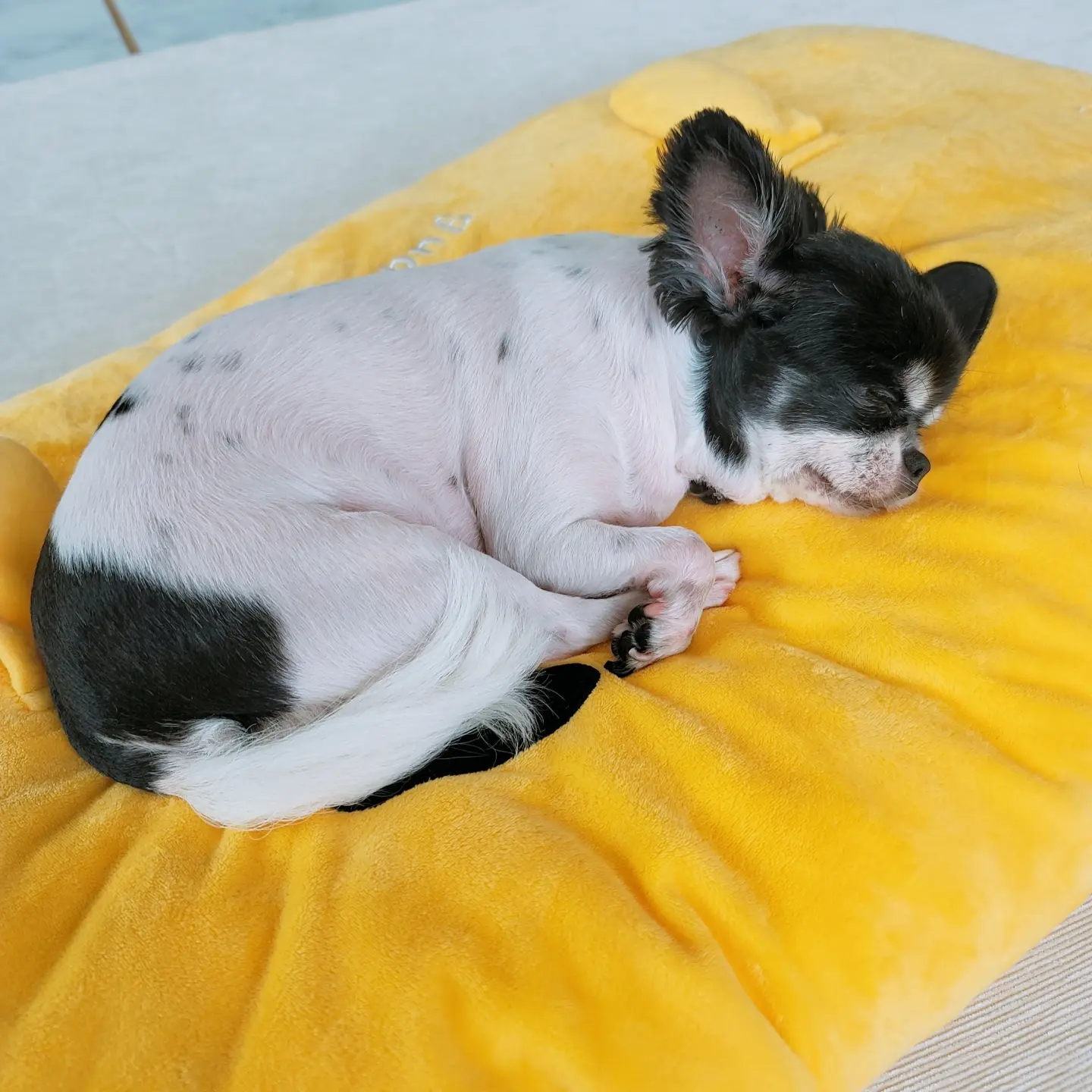이미지 12