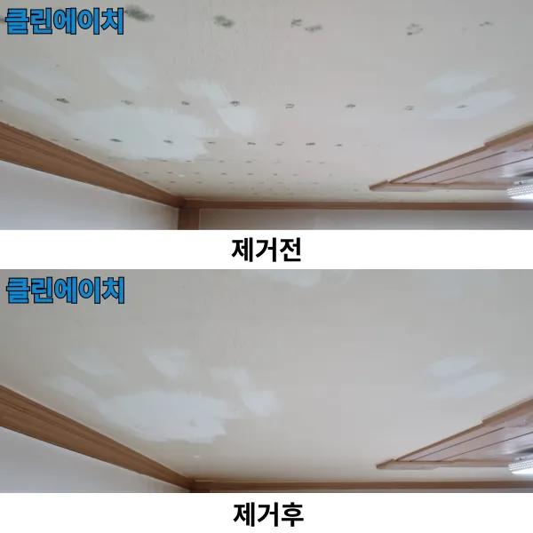 이미지 7