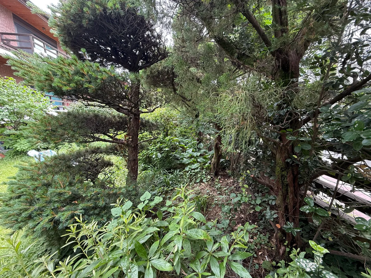 이미지 16