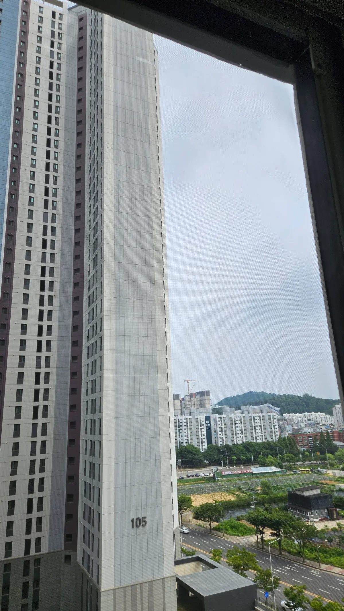 이미지 11
