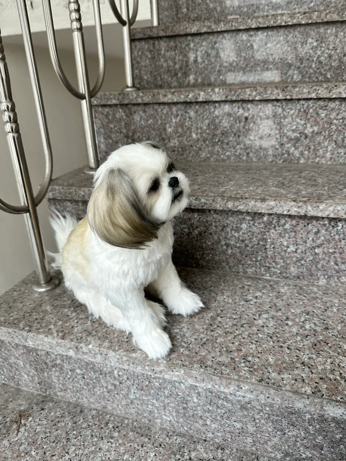 이미지 3