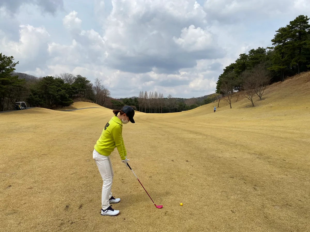 이미지 8