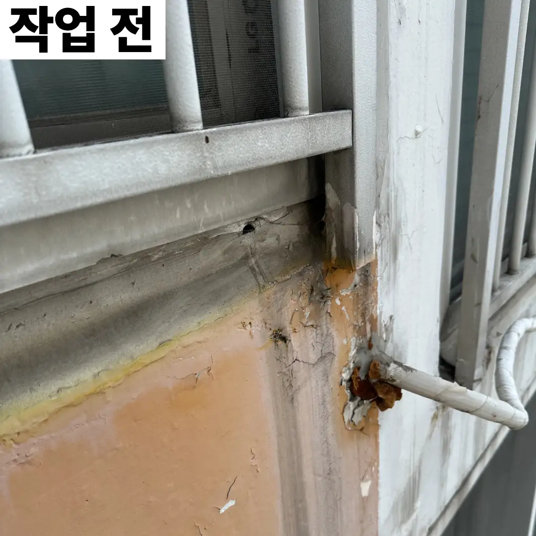 이미지 10