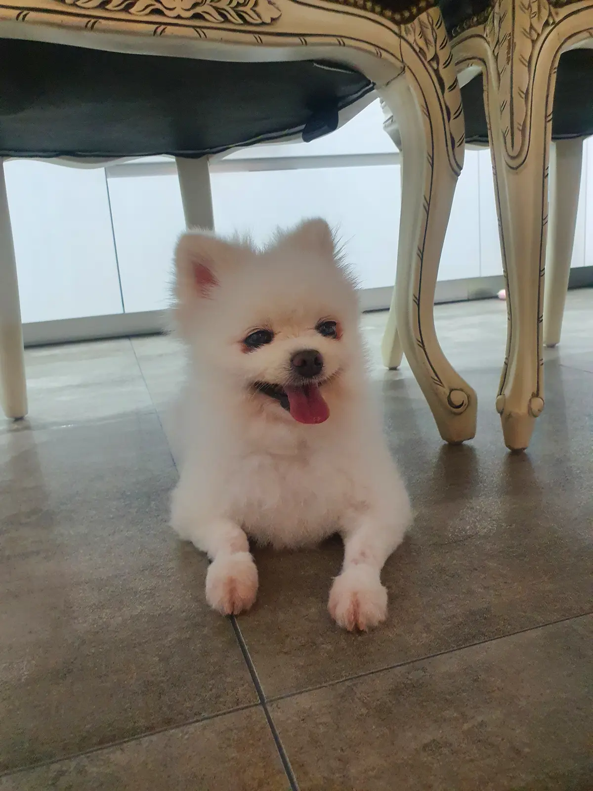 이미지 5