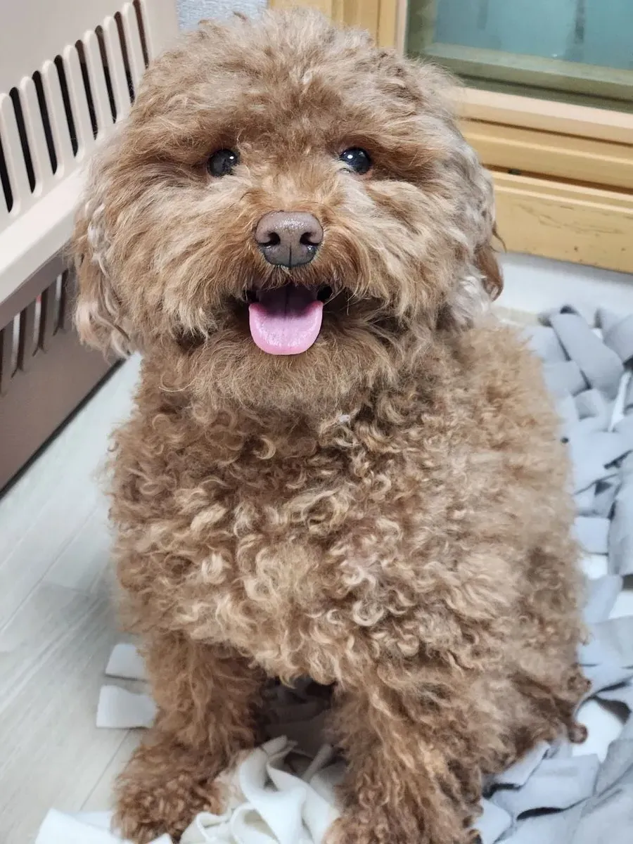 이미지 7