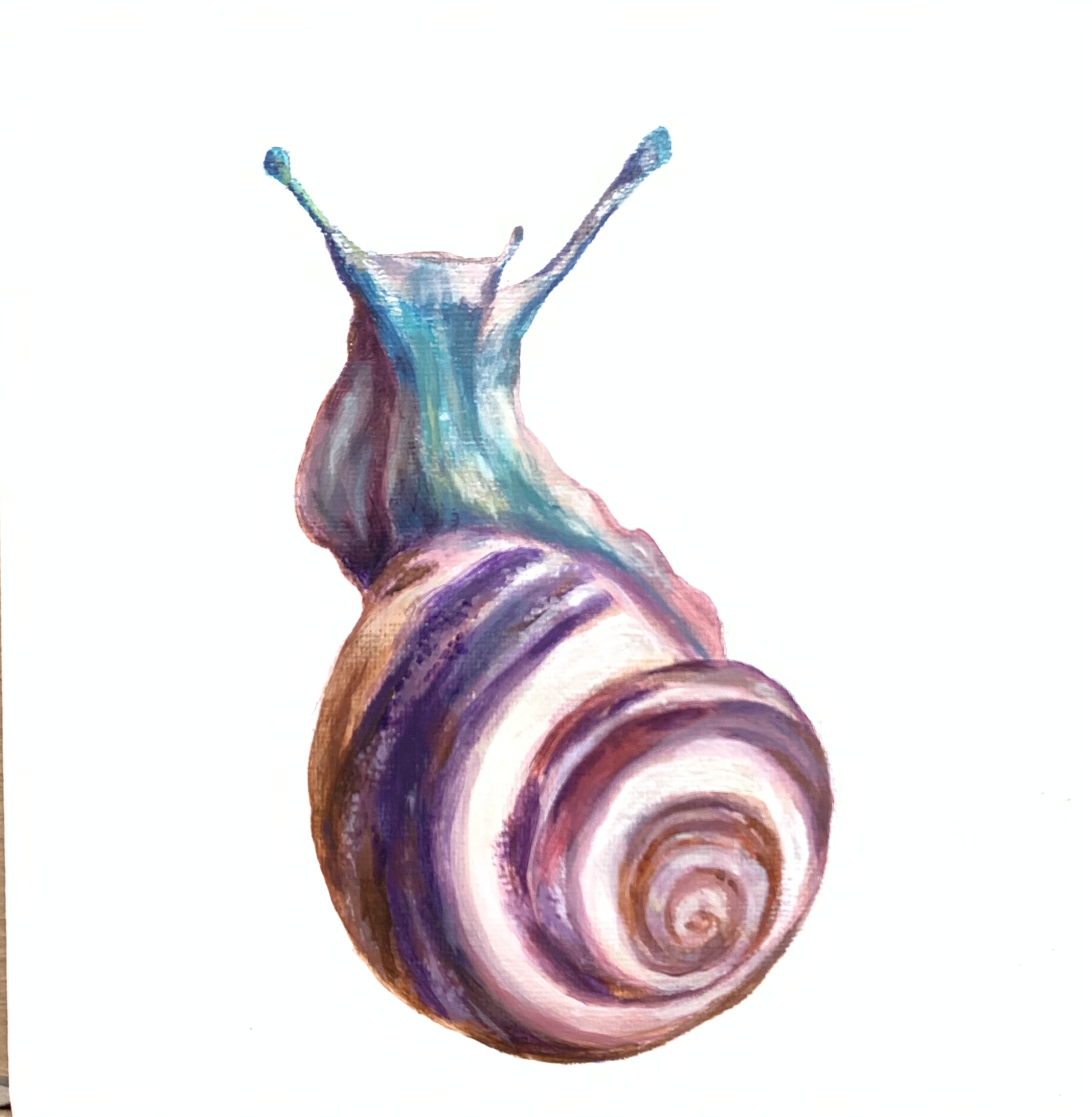 이미지 9