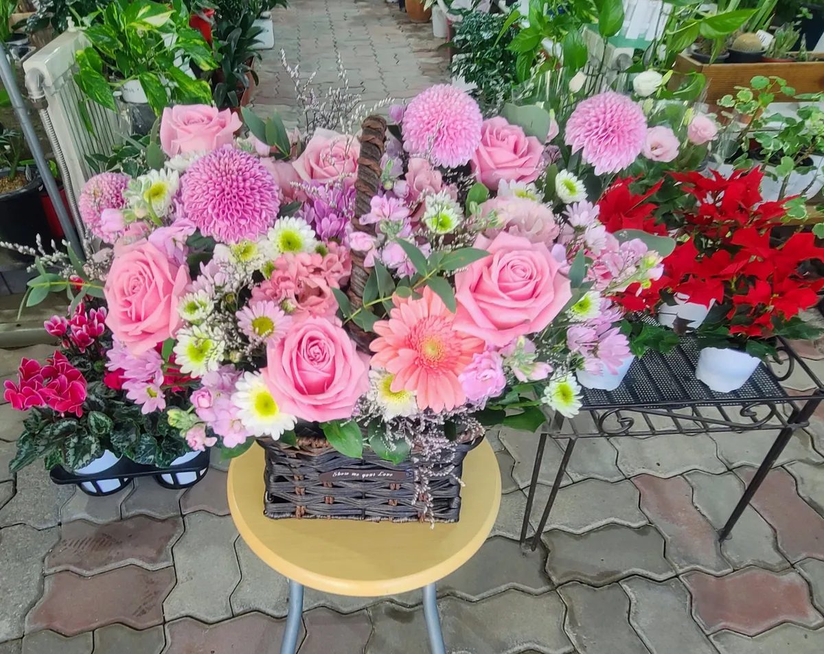 이미지 3