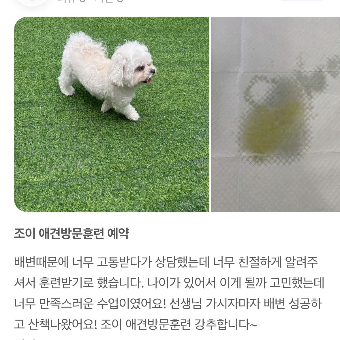 이미지 9