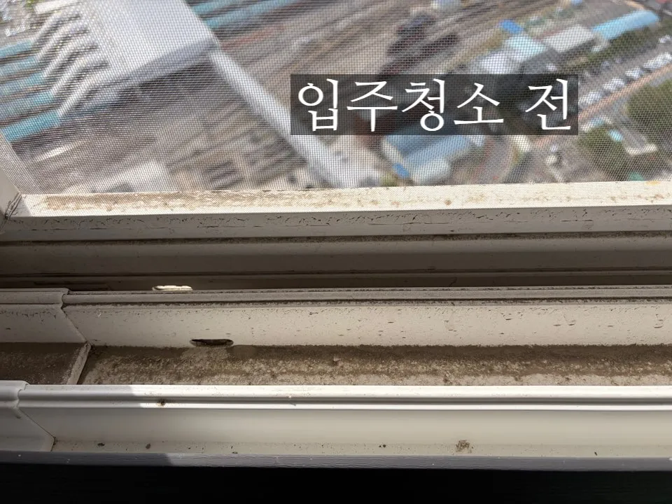 이미지 6