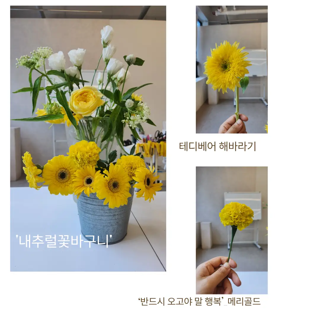 이미지 6