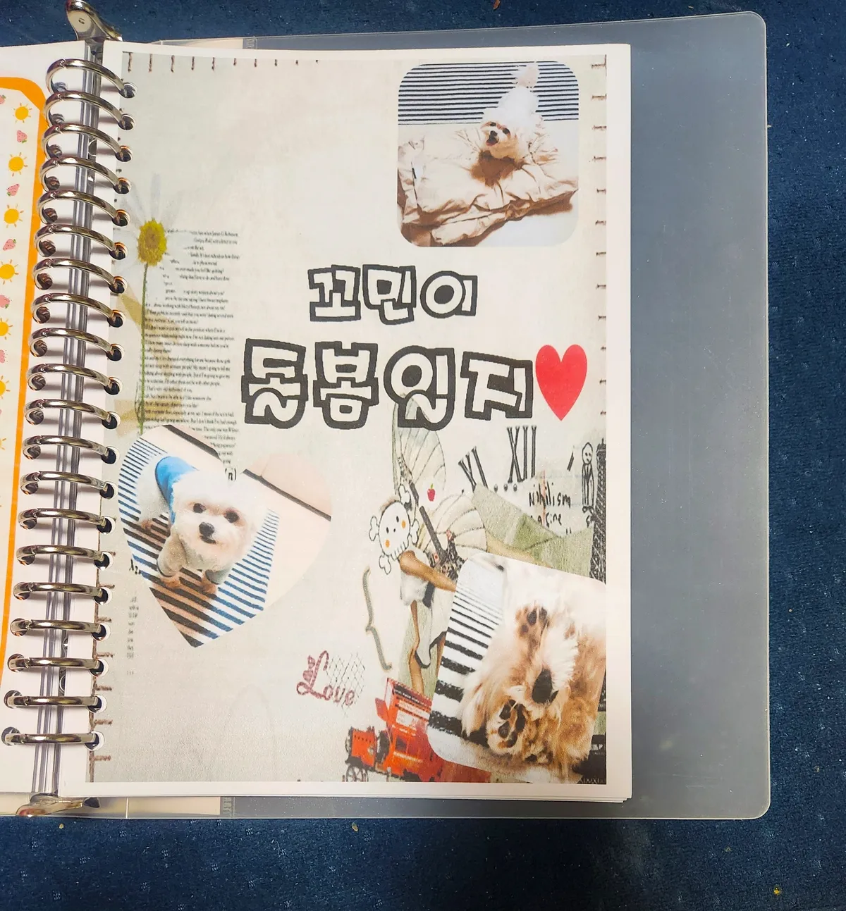 이미지 11