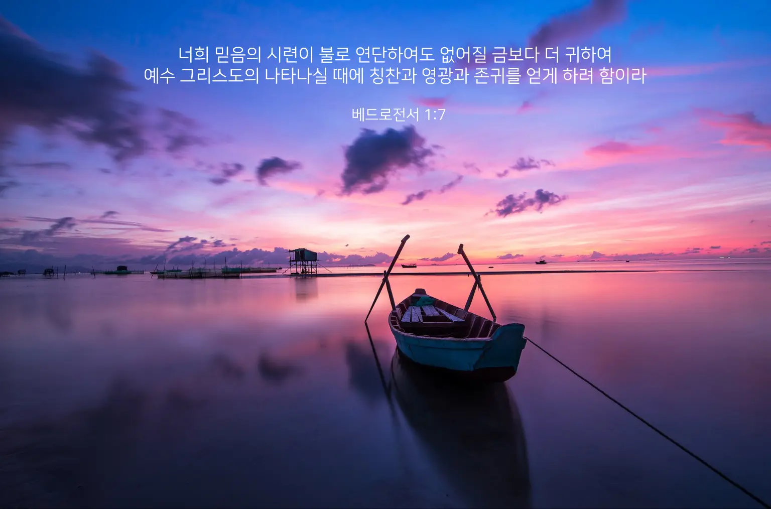 이미지 3