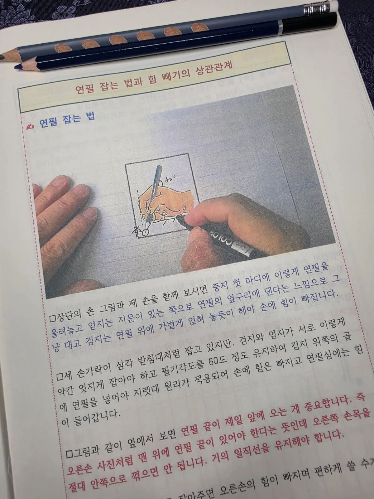 이미지 12
