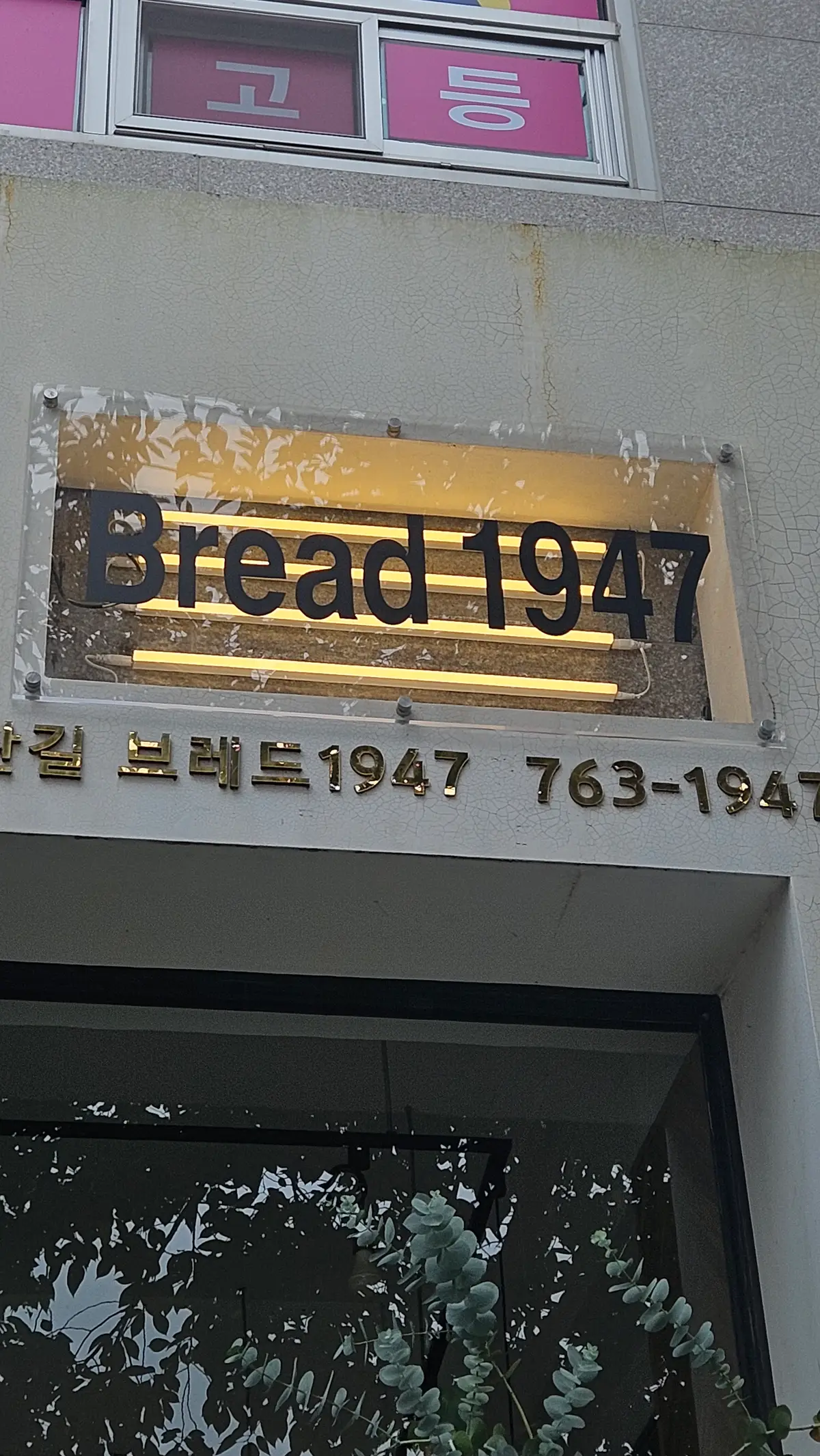 이미지 3
