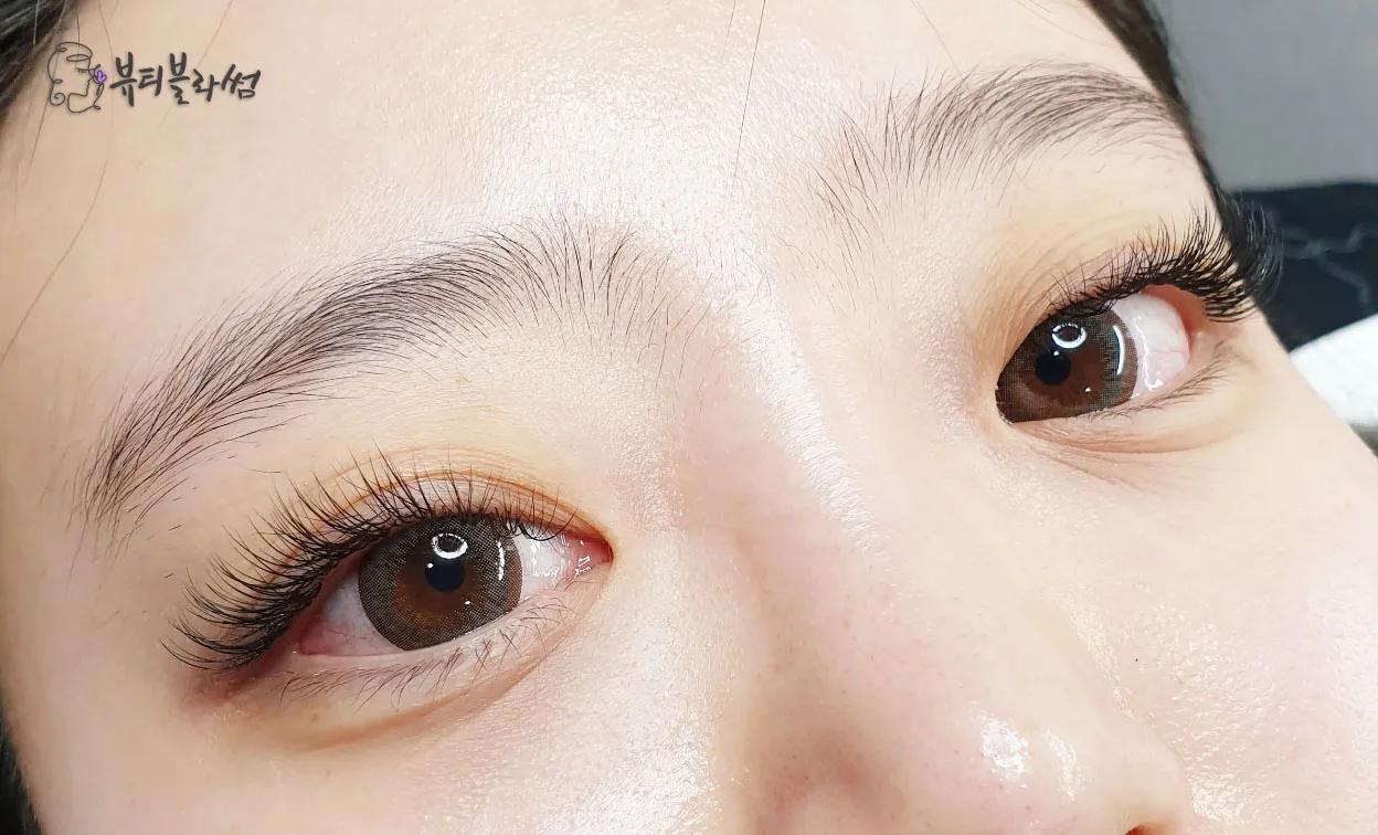 이미지 9
