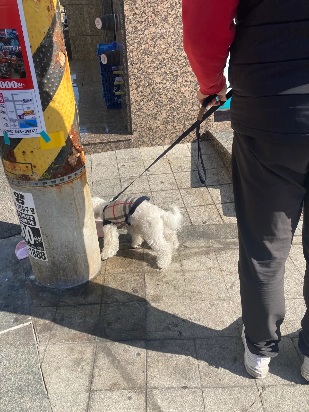 이미지 6