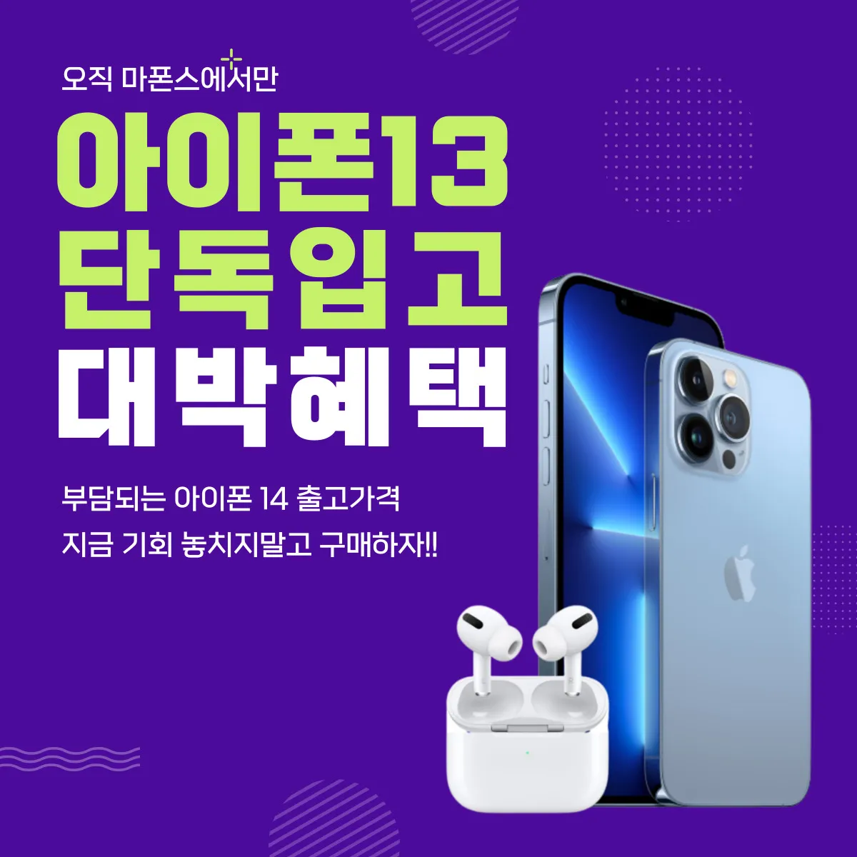 이미지 5