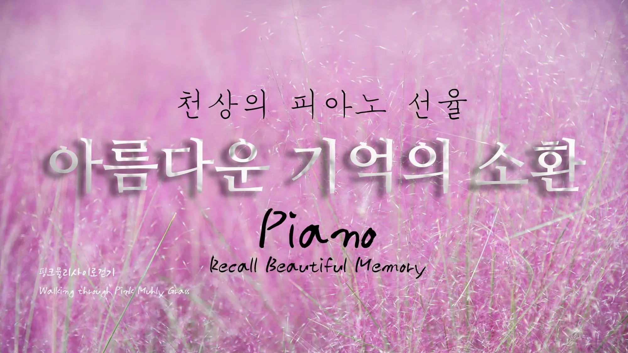 이미지 5