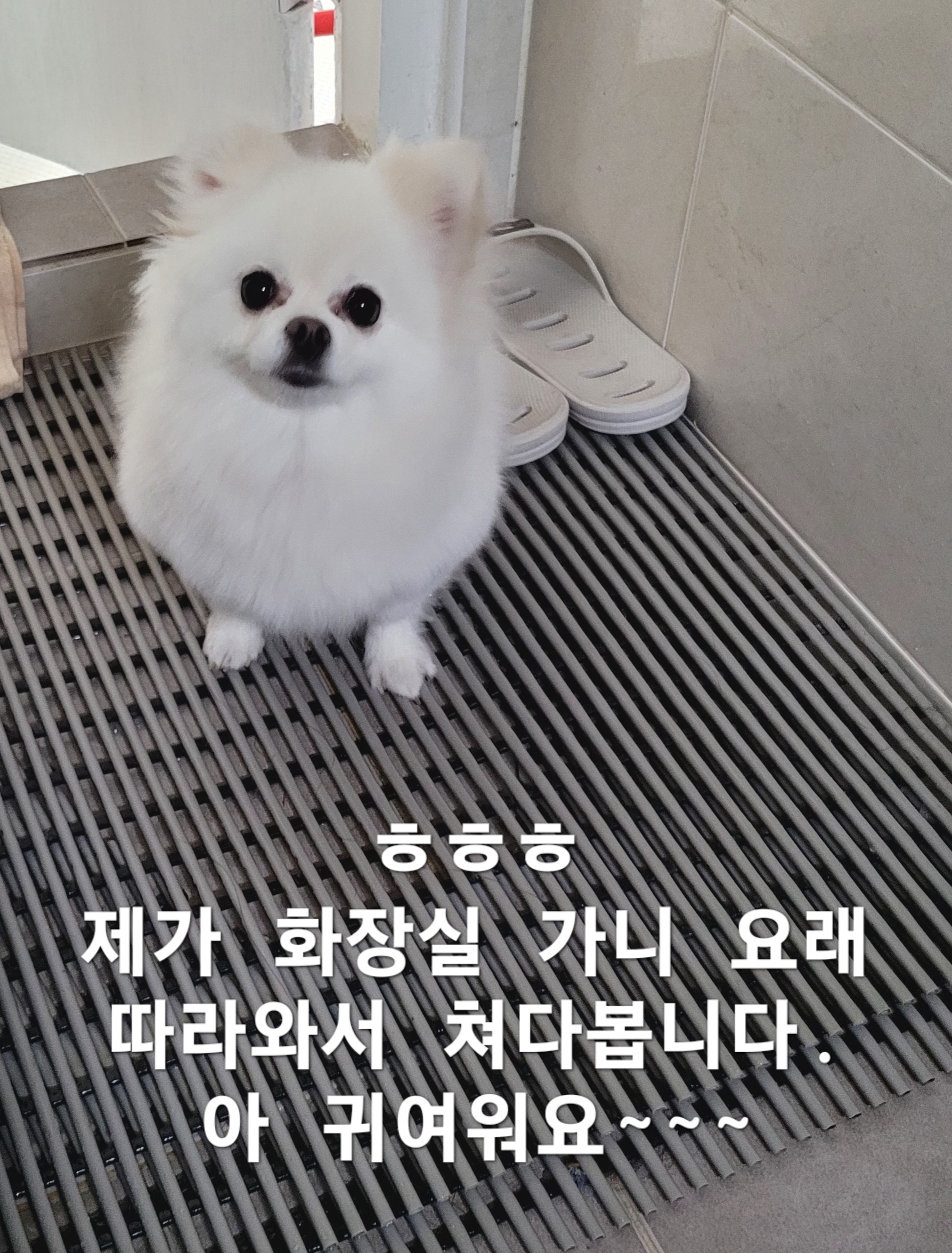 이미지 8