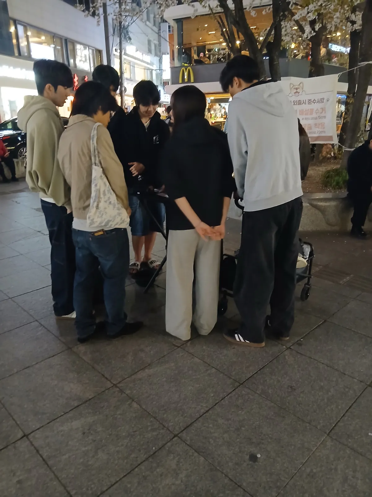 이미지 3