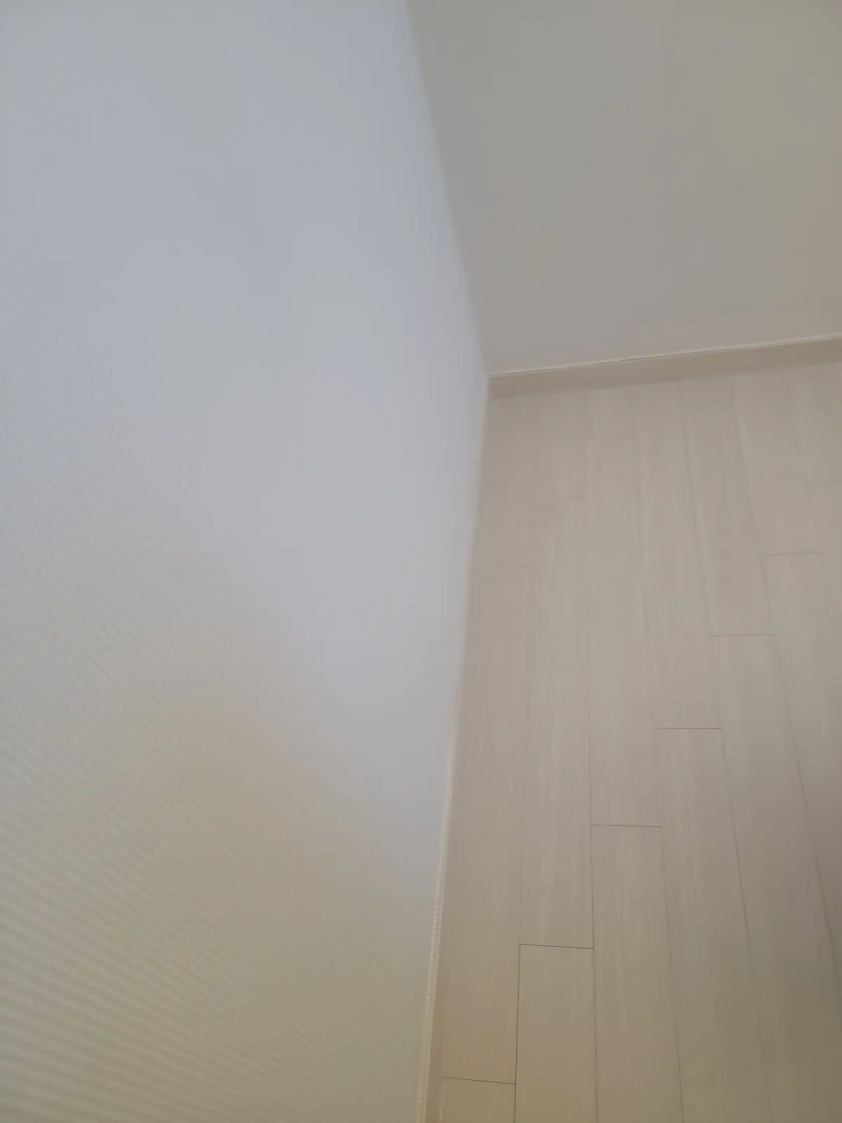 이미지 6