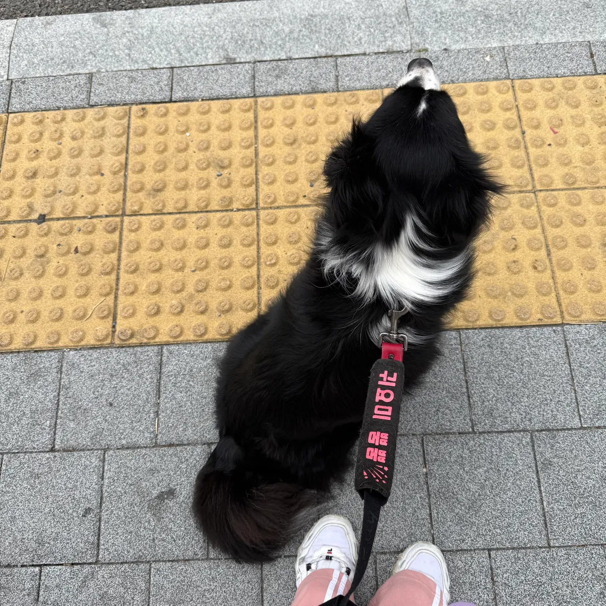 이미지 10