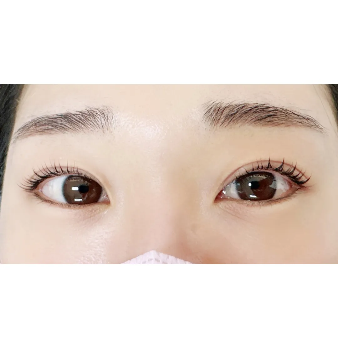 이미지 5