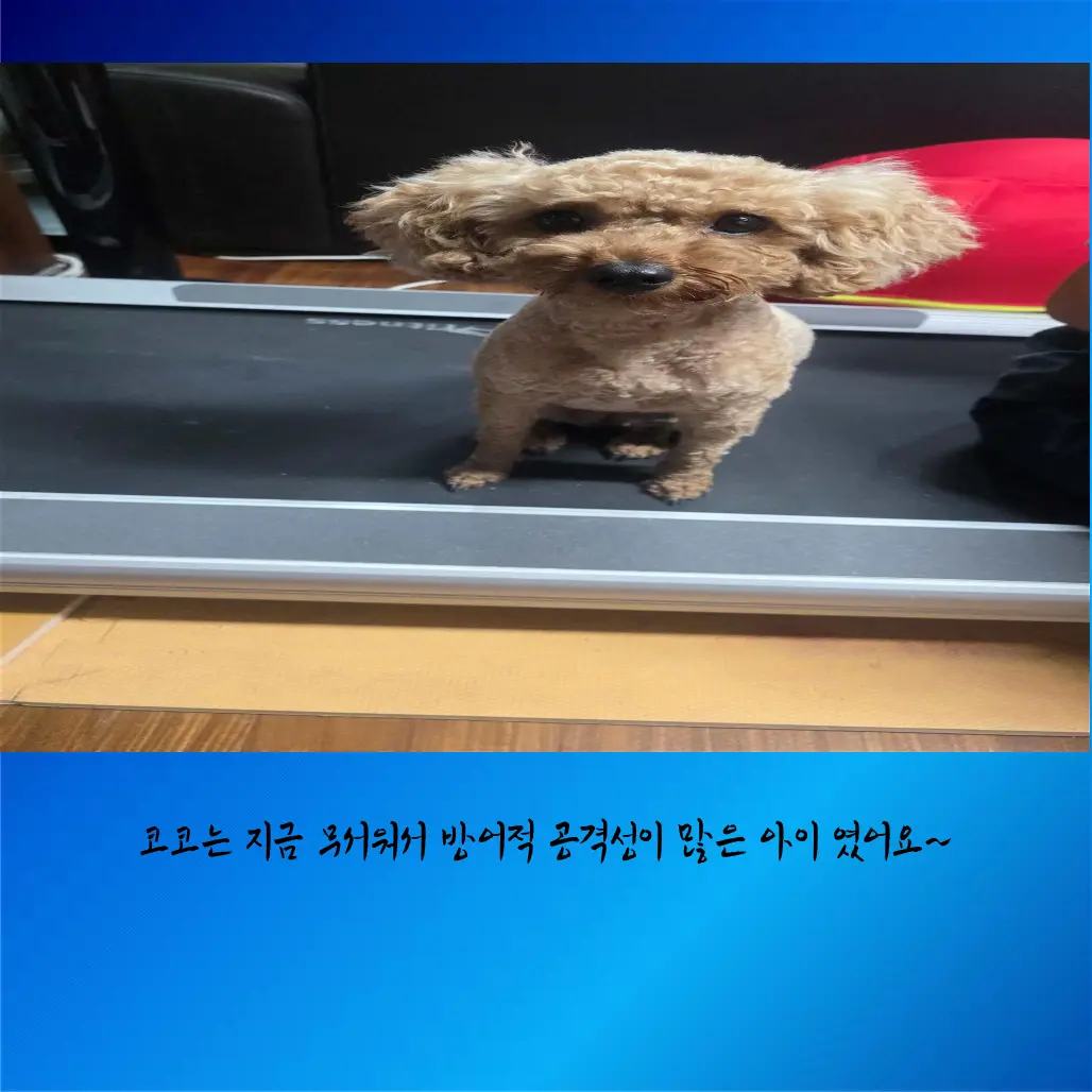 이미지 6