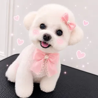 오늘 미용한 칭구..루니..~^^