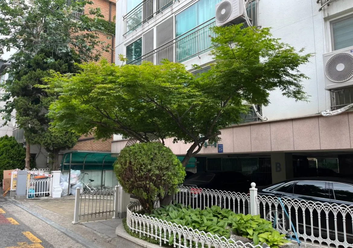 이미지 12