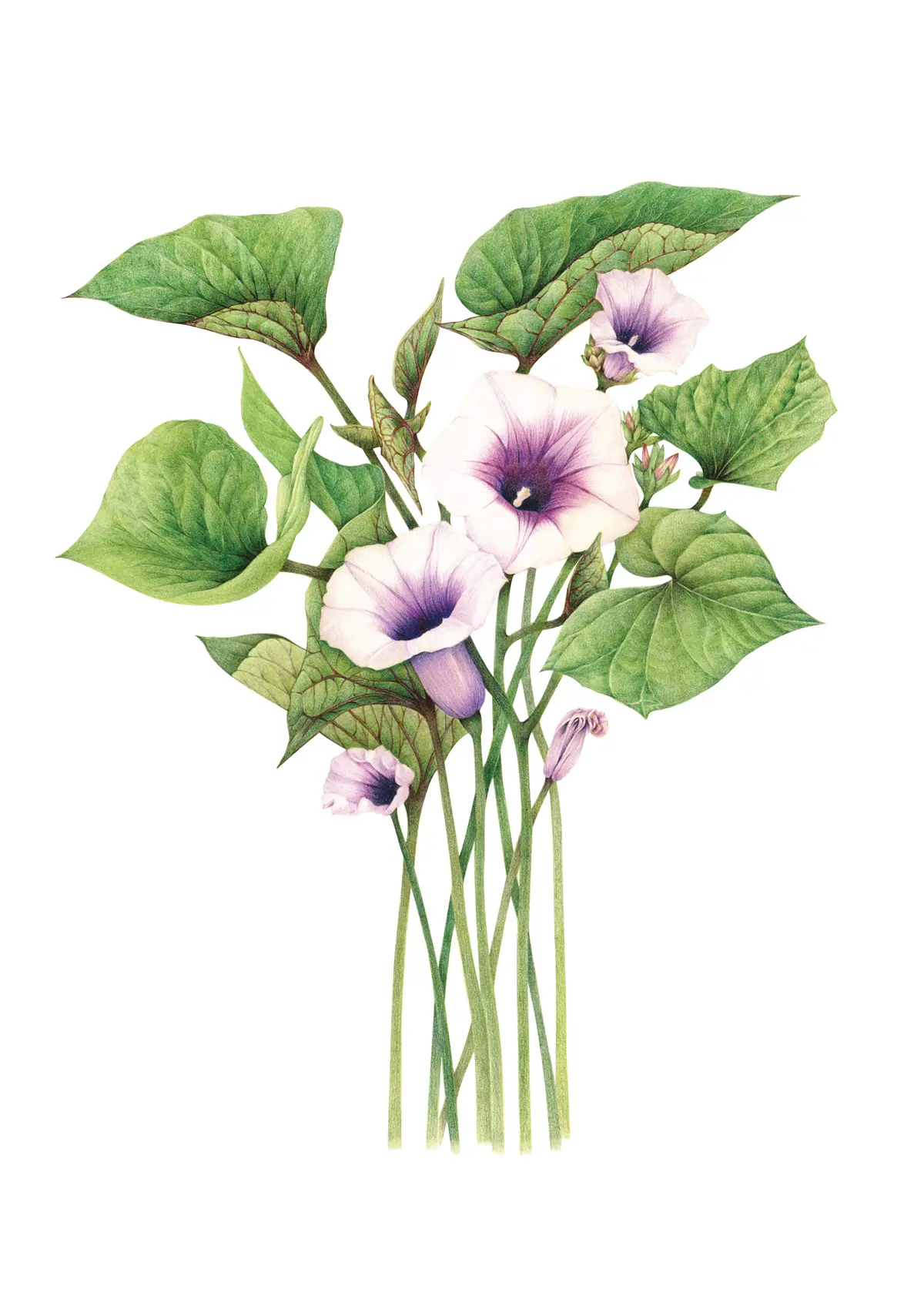 이미지 11