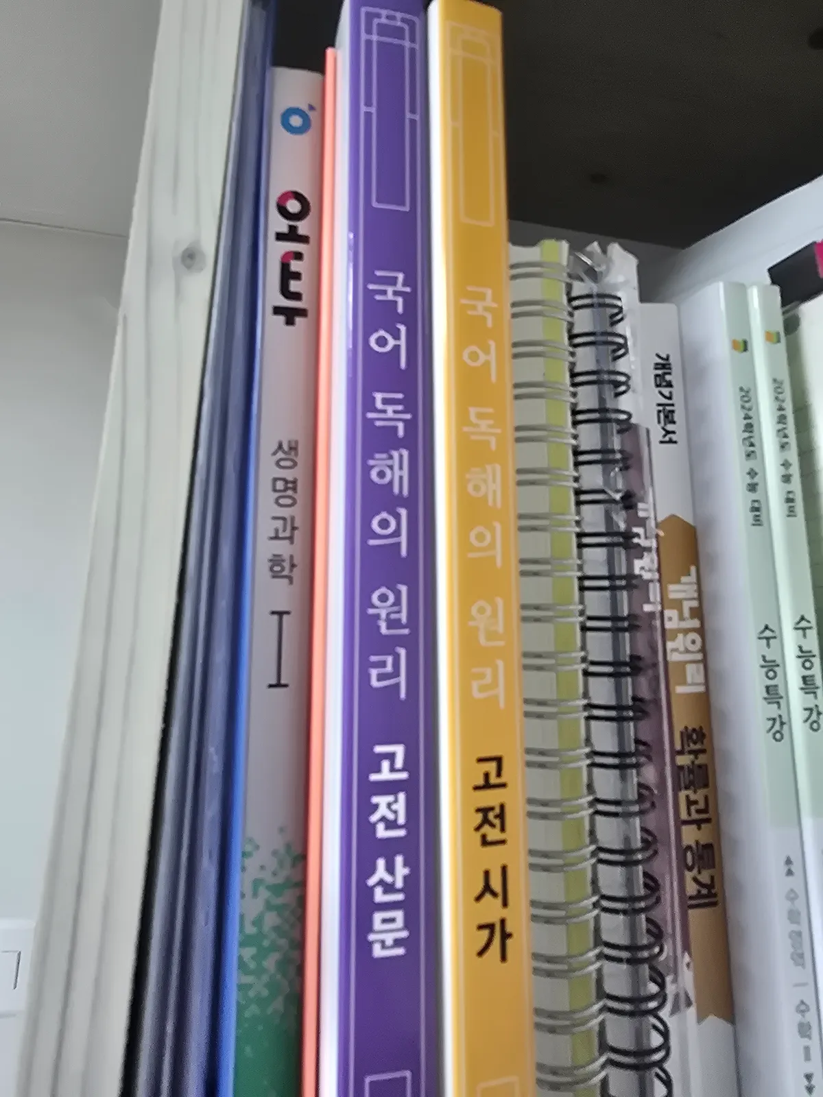 이미지 3
