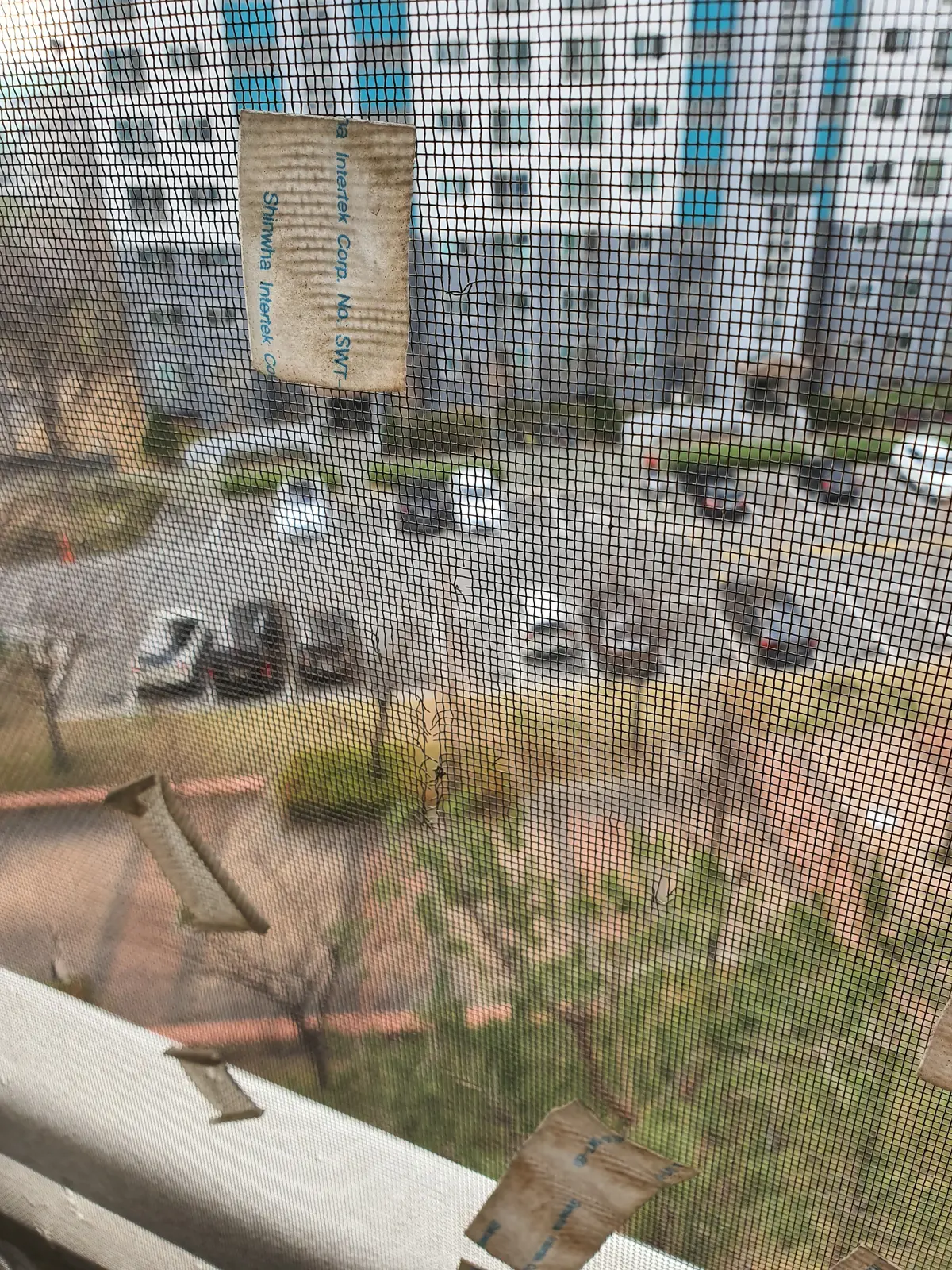 이미지 4