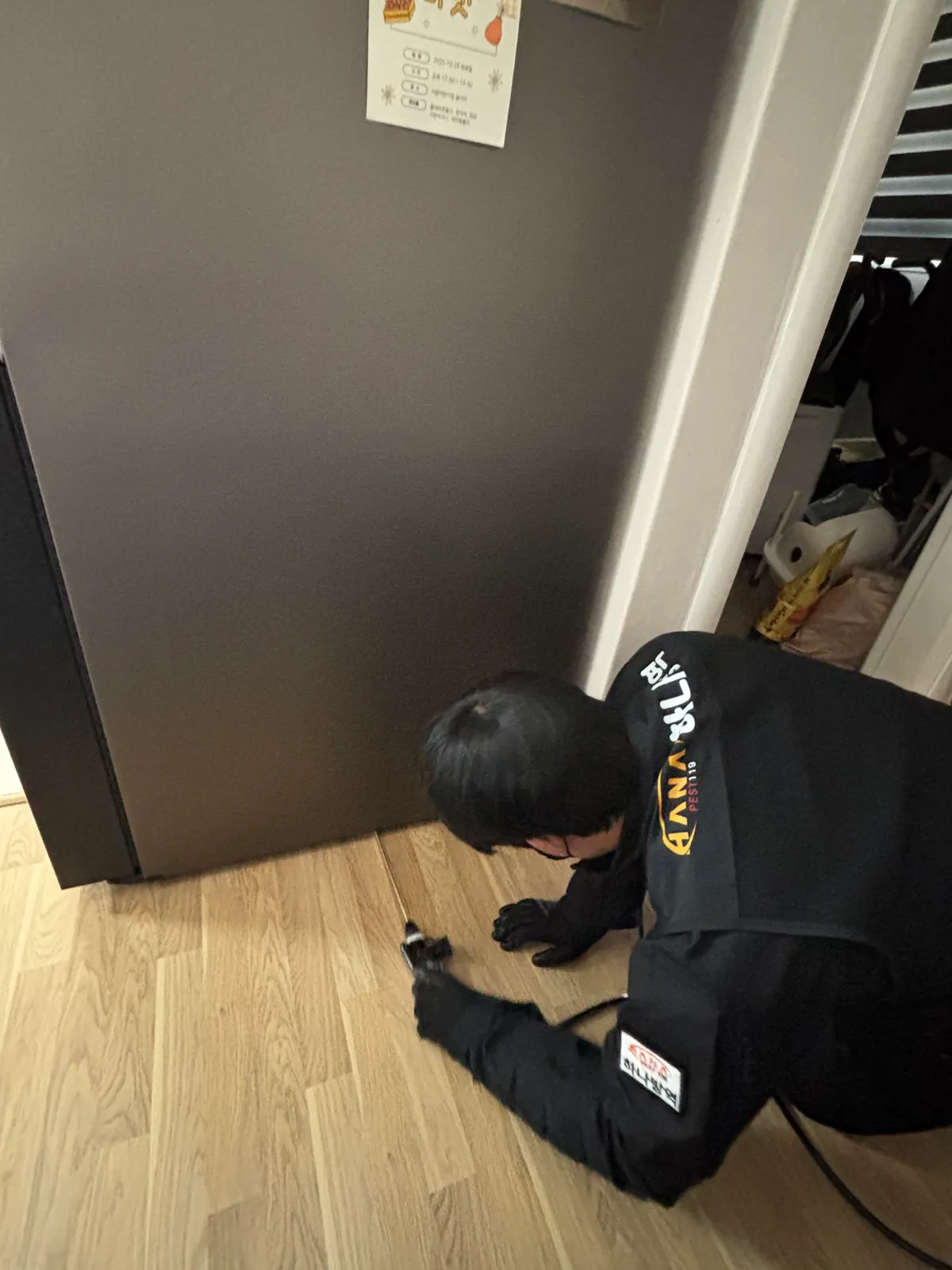 이미지 6