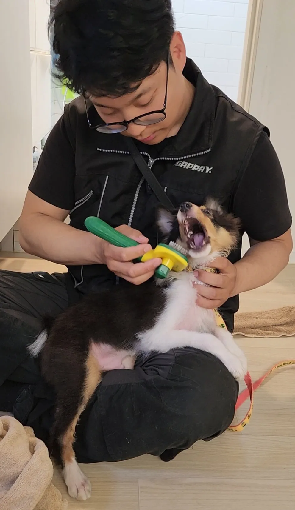 포트폴리오 이미지