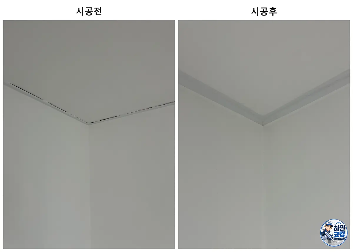 이미지 14