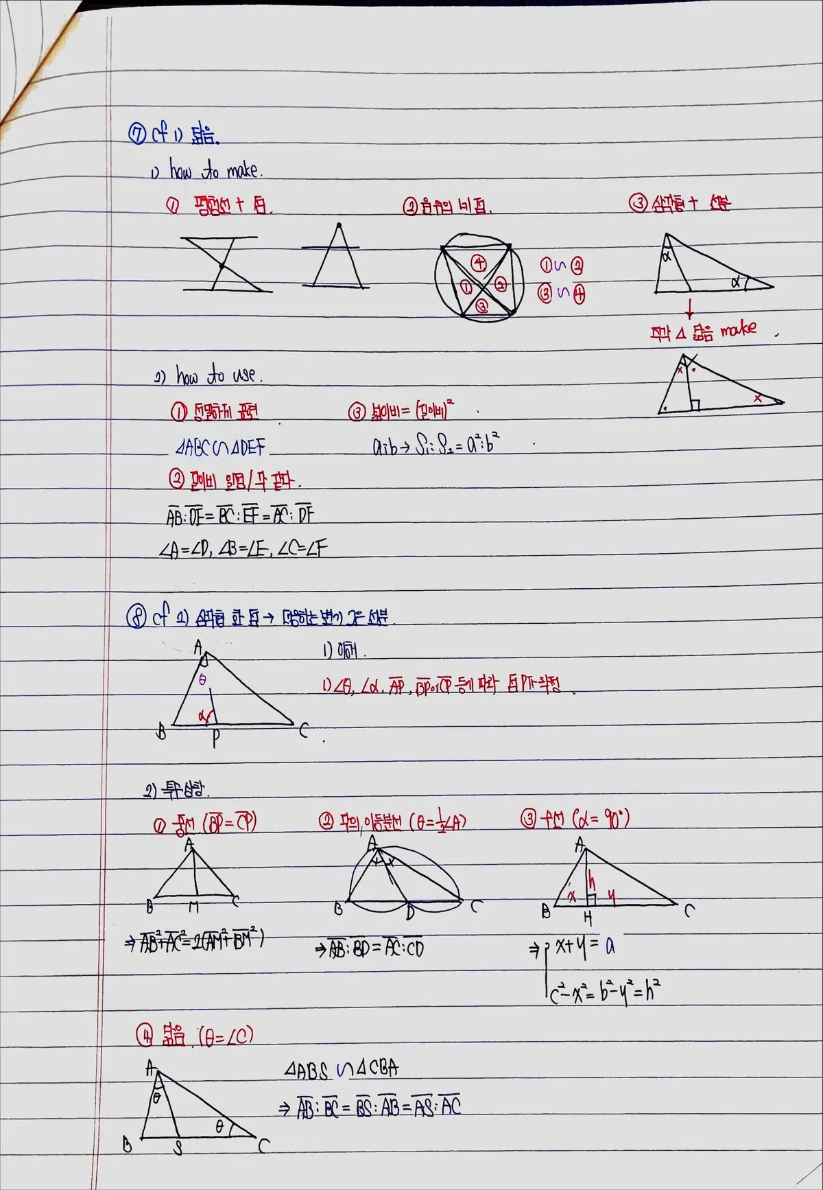이미지 8