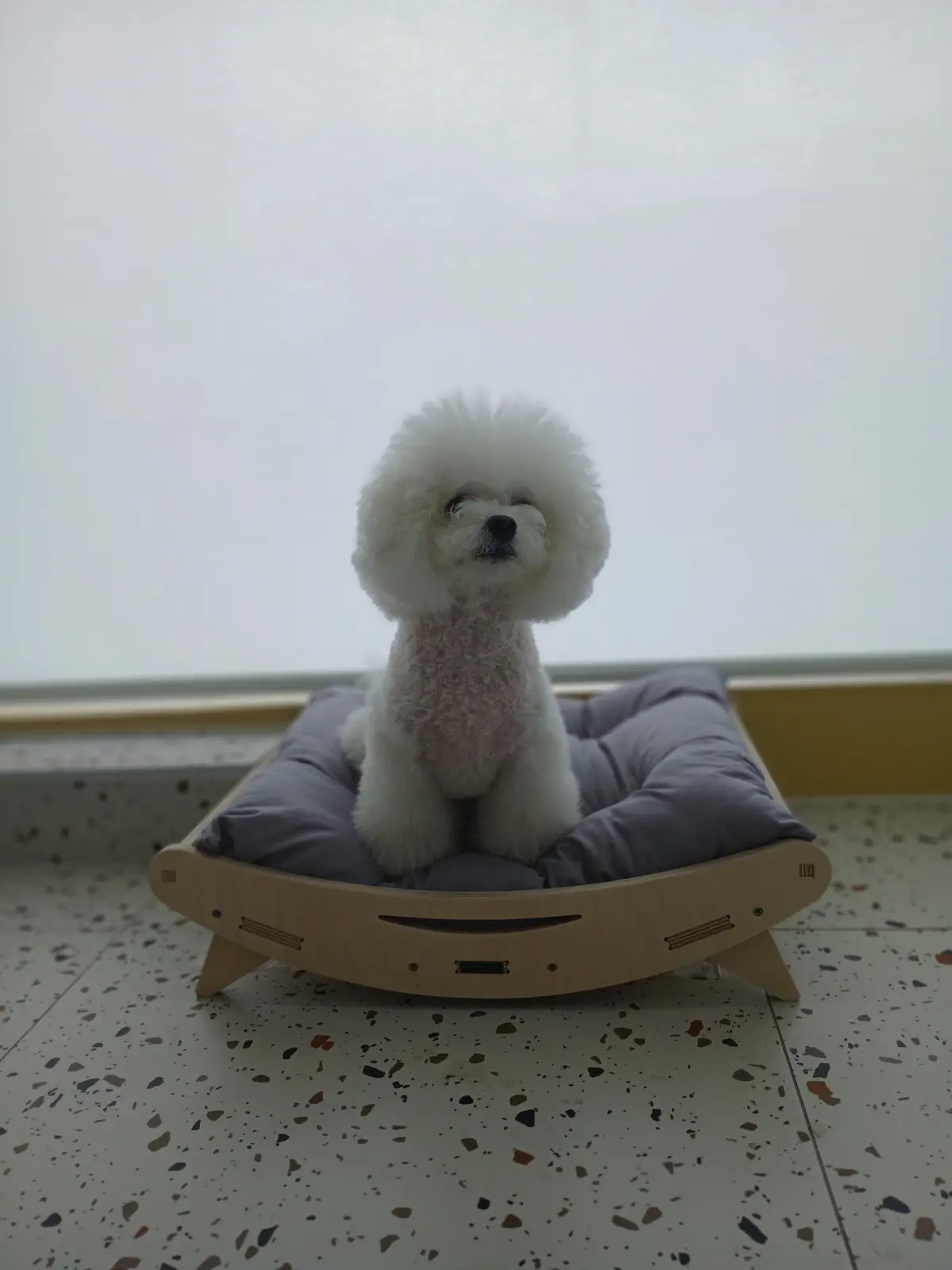 이미지 3