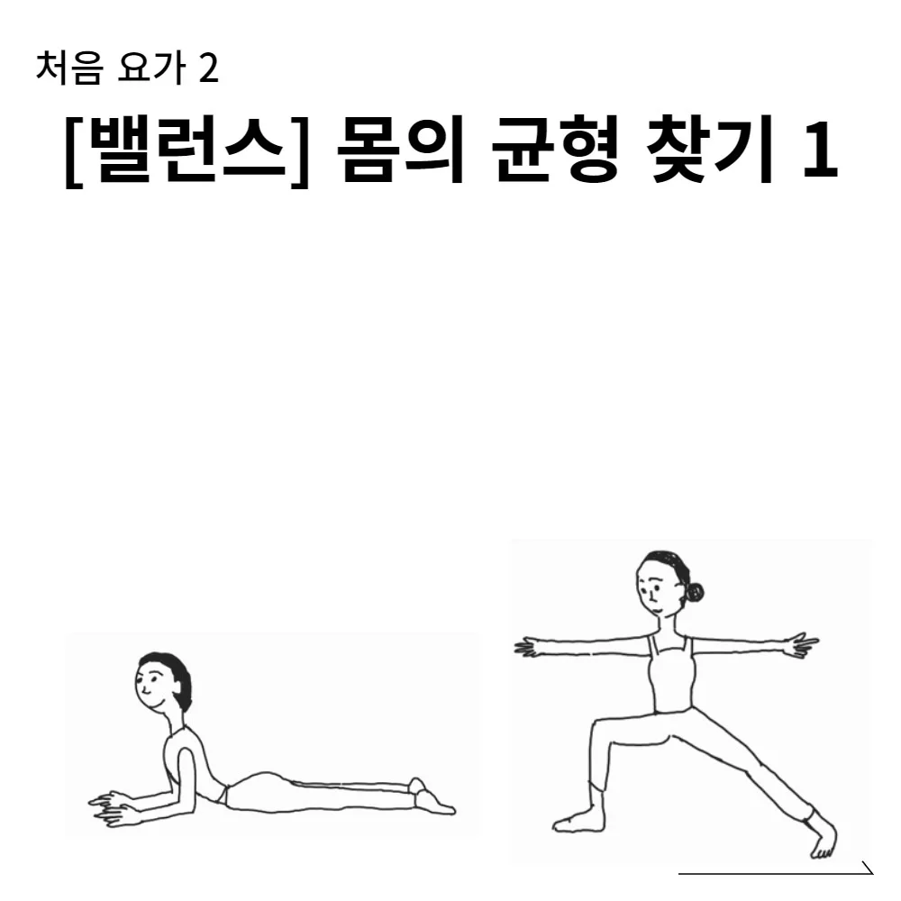 이미지 6