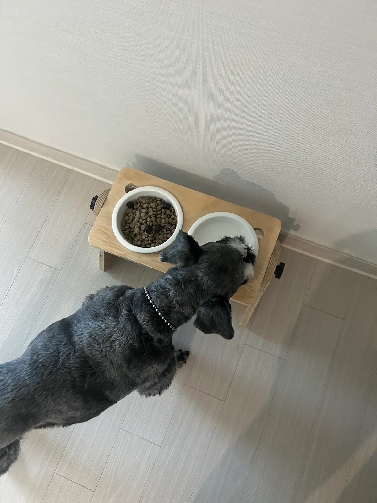 이미지 9