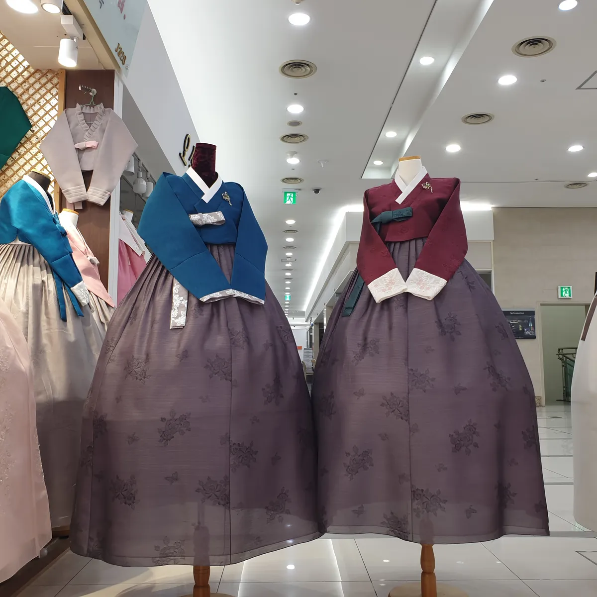 이미지 6