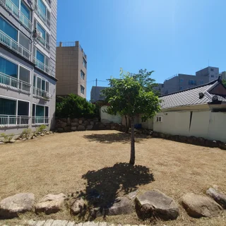 경주시 외동읍