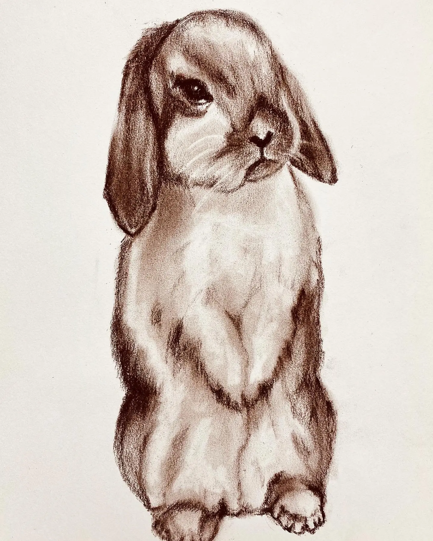이미지 10