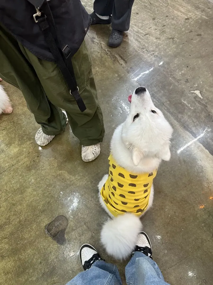 이미지 11