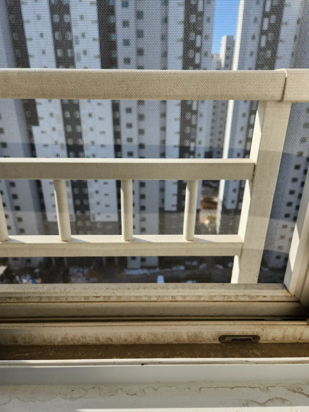 이미지 3