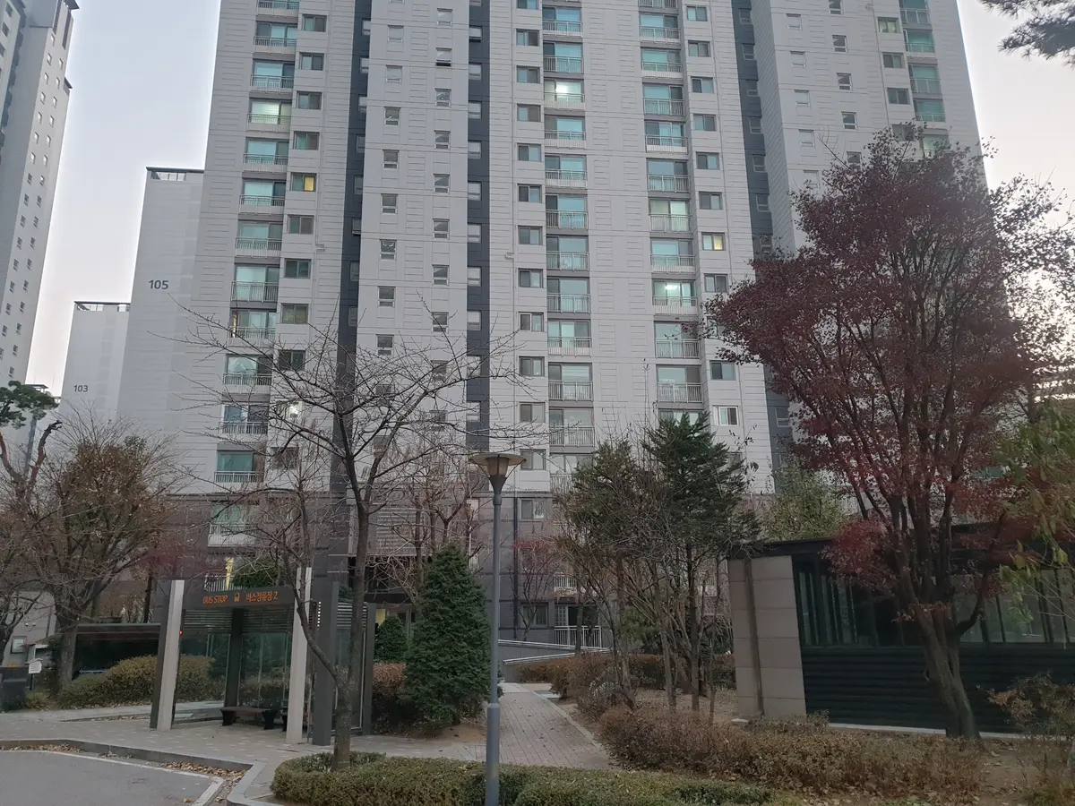 이미지 8