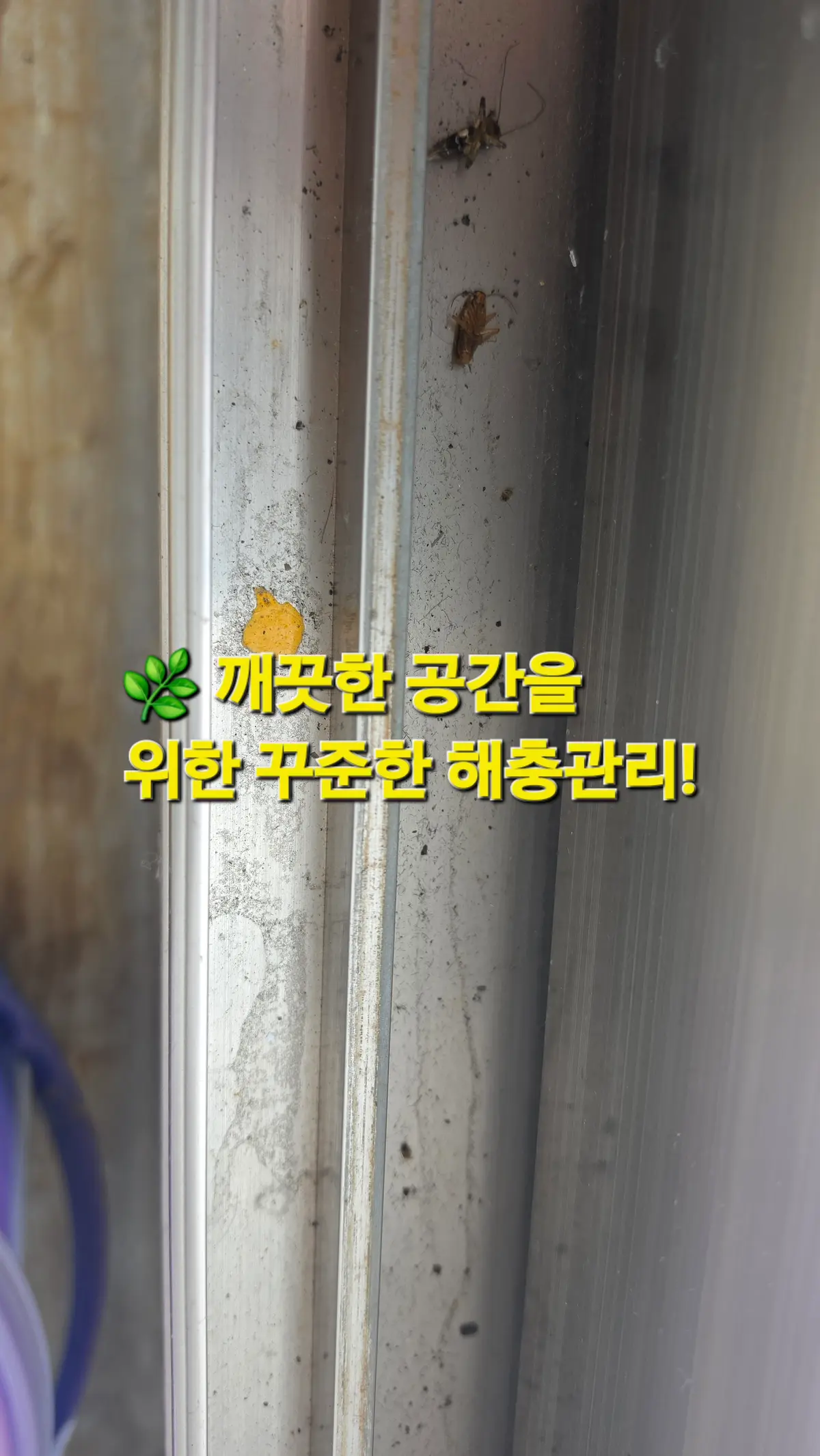 이미지 14