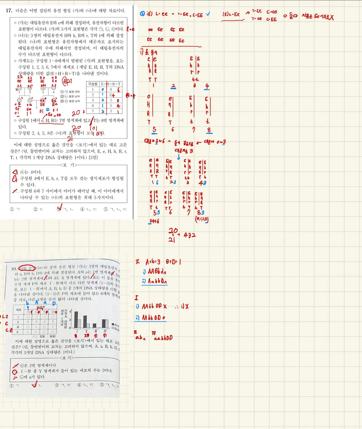 이미지 3